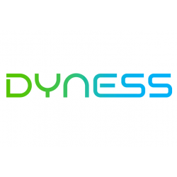 Dyness