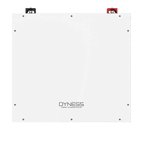 Батерия Dyness Battery DL5.0C 5.12KWh LFP 51.2V LV